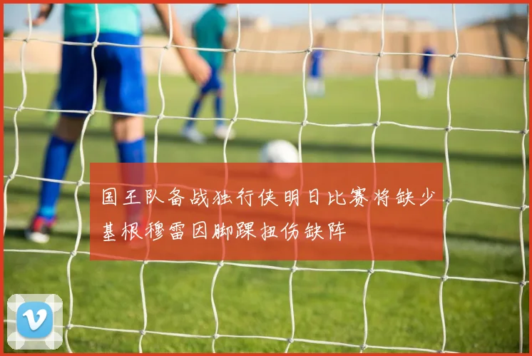 国王队备战独行侠明日比赛将缺少基根穆雷因脚踝扭伤缺阵